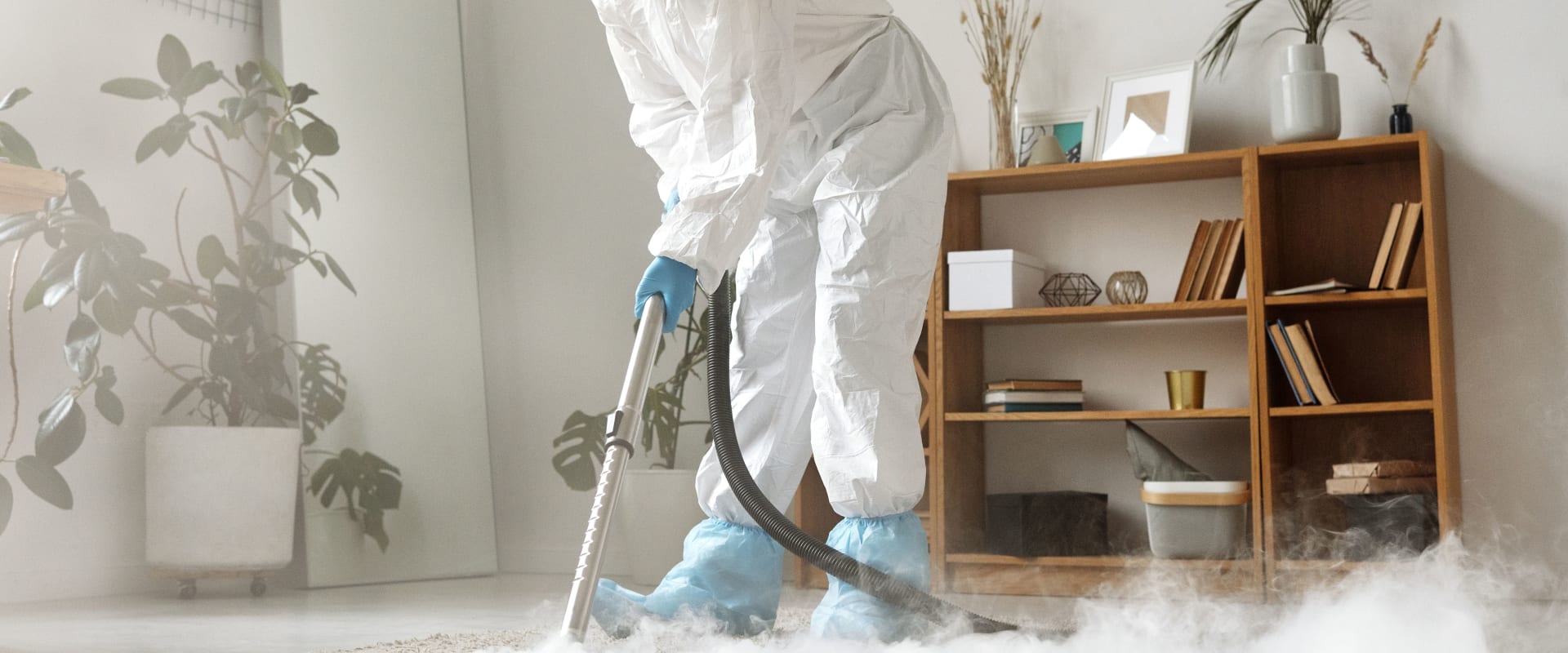 Professional carpet cleaning - Estuary Carpet Cleaning