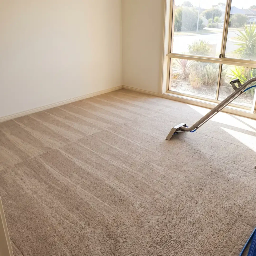 Spotless freshly steam-cleaned carpet in empty Mandurah rental for end of lease carpet cleaning