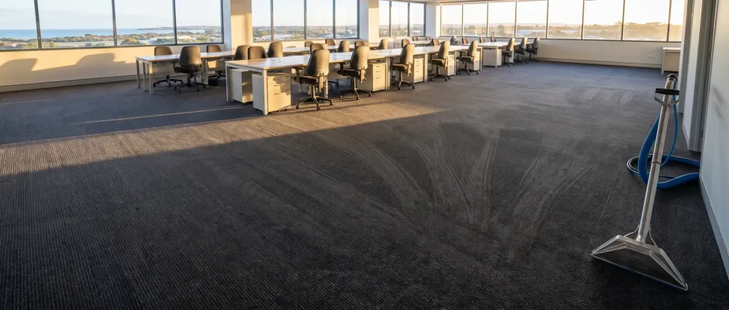 Freshly cleaned commercial office carpet with vacuum lines in Mandurah by Estuary Carpet Cleaning