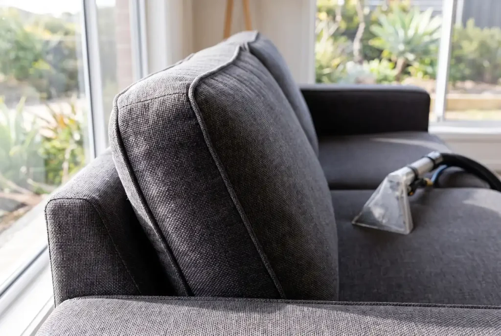 Upholstery cleaning seam and edge detail on a freshly cleaned sofa in Mandurah
